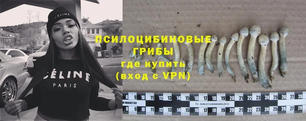 молекула духа Слюдянка