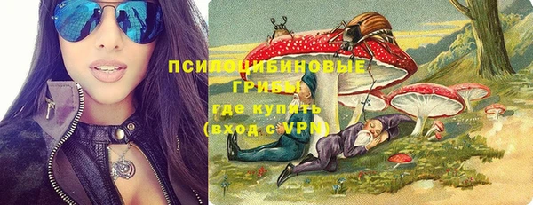 гашик Абинск