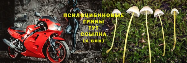 герыч Абаза