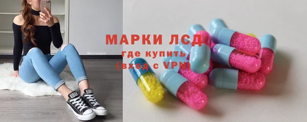 индика Снежногорск