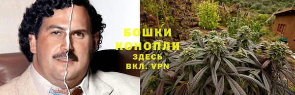 гашик Абинск