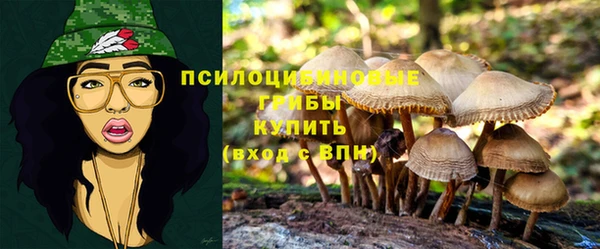 герыч Абаза
